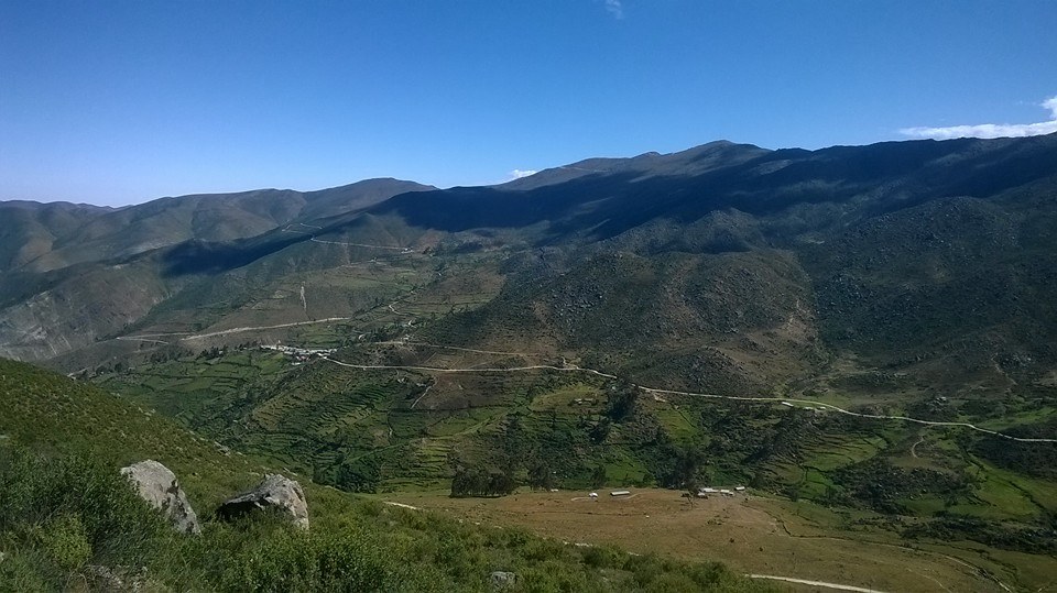 Amacclle